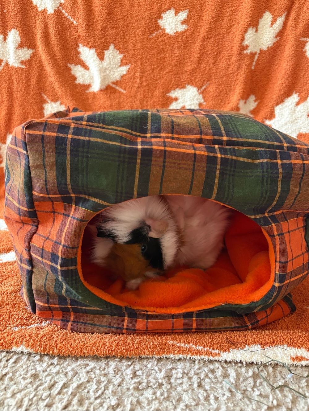 Cozy Plaid Small Pet Hideaway Bed - Orange & Green